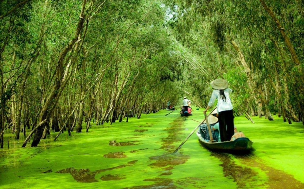 Tour Du Lịch: Về Miền Tây | Trải Nghiệm Mùa Nước Nổi