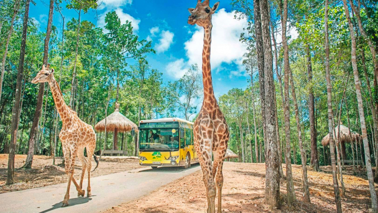 Tour Nha Trang Vịnh San Hô | Vinwonders|City Tour